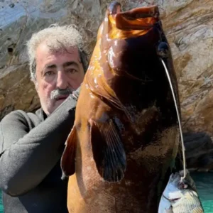 Το μήνυμα Πολάκη σε Τσίπρα δείχνοντας … ροφό 13,5 κιλών: «Εμείς δεν ψαρεύουμε σε θολά νερά»