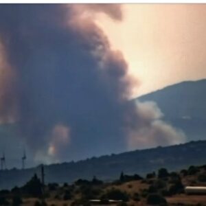 Δήμαρχος Μάνδρας: Αυτόπτες μάρτυρες κατήγγειλαν ότι η φωτιά ξεκίνησε από τσιγάρο που πετάχτηκε από αυτοκίνητο