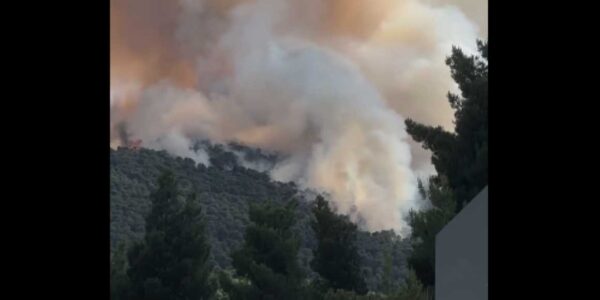 Φωτιά στην Οινόη: Βελτιωμένη η εικόνα , την έχουμε περικυκλώσει, θα τεθεί υπό πλήρη έλεγχο , λέει ο δήμαρχος Μάνδρας-Ειδυλλίας