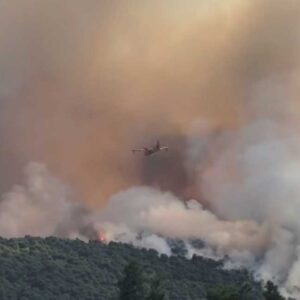 Μεγάλη φωτιά στην Οινόη: Μήνυμα του 112 για ετοιμότητα, ισχυρές δυνάμεις στο σημείο (βίντεο)
