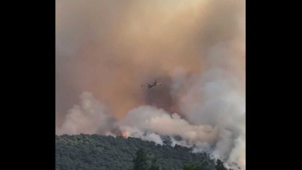 Μεγάλη φωτιά στην Οινόη: Μήνυμα του 112 για ετοιμότητα, ισχυρές δυνάμεις στο σημείο (βίντεο)
