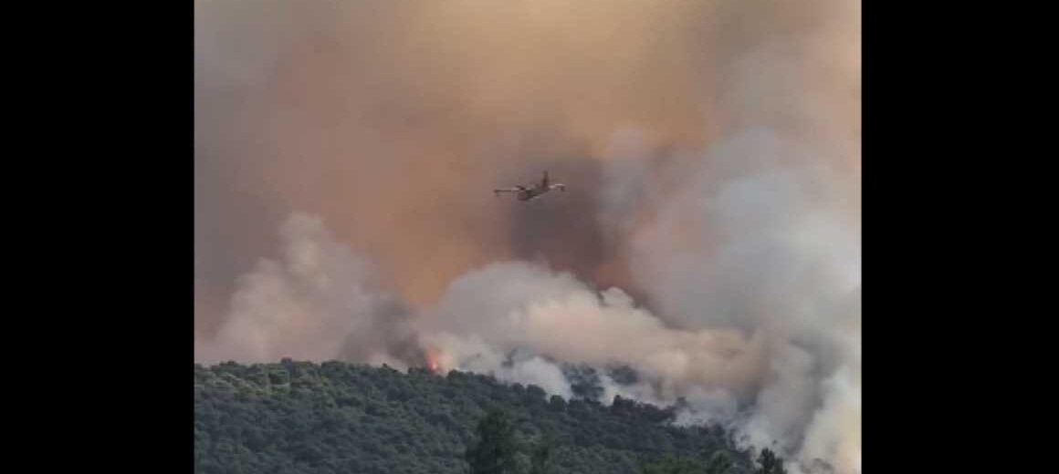 Μεγάλη φωτιά στην Οινόη: Μήνυμα του 112 για ετοιμότητα, ισχυρές δυνάμεις στο σημείο (βίντεο)