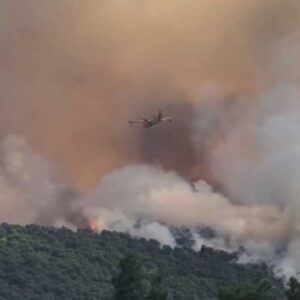 Μεγάλη φωτιά στην Οινόη: Μήνυμα του 112 για ετοιμότητα, ισχυρές δυνάμεις στο σημείο (βίντεο)