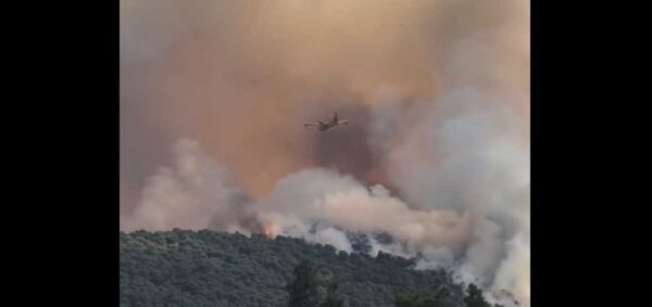 Μεγάλη φωτιά στην Οινόη: Μήνυμα του 112 για ετοιμότητα, ισχυρές δυνάμεις στο σημείο (βίντεο)