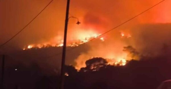 Φωτιά σε Βοιωτία και Δυτική Αττική: Πύρινη κόλαση στο Πόρτο Γερμενό, απειλούνται σπίτια, στήνουν αναχώματα –  Εκκενώθηκαν Αγ. Νικόλαος, Προσήλι και Πόρτο Γερμενό (βίντεο)