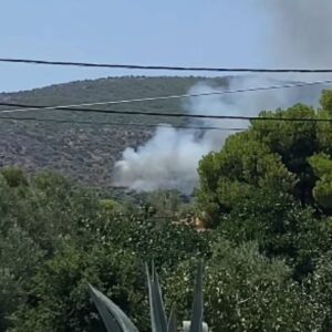 Φωτιά στη Σαλαμίνα στην περιοχή Σελίνια: Μηνύματα του 112 στους κατοίκους – «Απομακρυνθείτε προς παραλία»