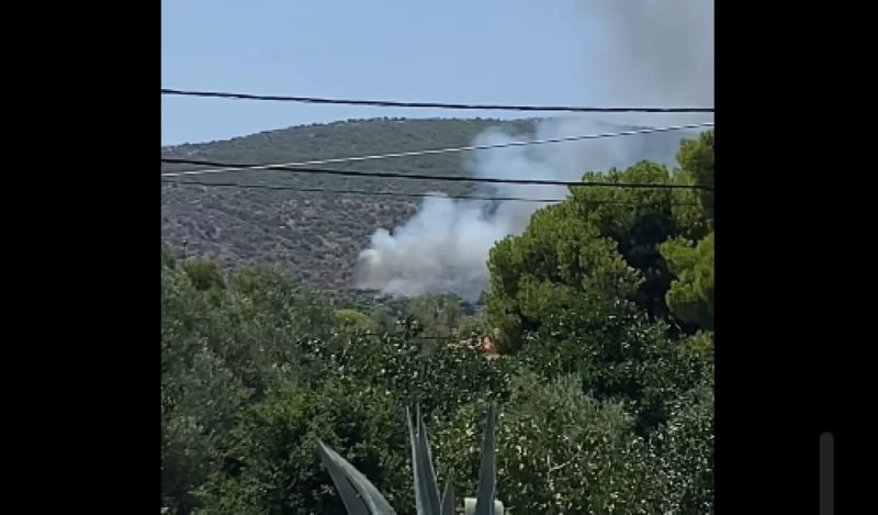 Φωτιά στη Σαλαμίνα στην περιοχή Σελίνια: Μηνύματα του 112 στους κατοίκους – «Απομακρυνθείτε προς παραλία»