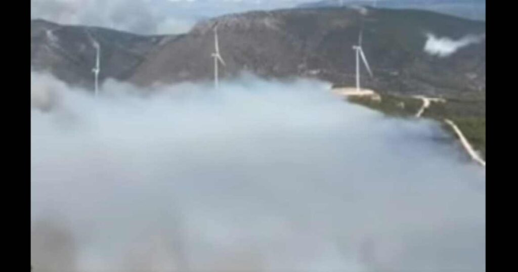 Πύρινος εφιάλτης στον Άγιο Βασίλειο Βοιωτίας – Δραματικές επιχειρήσεις διάσωσης  από θαλάσσης – «Θα καούμε ζωντανοί», οι εκκλήσεις βοήθειας των κατοίκων