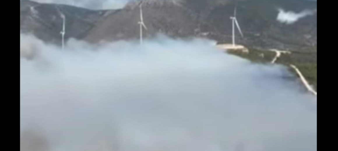 Πύρινος εφιάλτης στον Άγιο Βασίλειο Βοιωτίας – Δραματικές επιχειρήσεις διάσωσης  από θαλάσσης – «Θα καούμε ζωντανοί», οι εκκλήσεις βοήθειας των κατοίκων