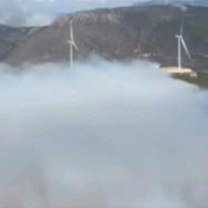 Πύρινος εφιάλτης στον Άγιο Βασίλειο Βοιωτίας – Δραματικές επιχειρήσεις διάσωσης  από θαλάσσης – «Θα καούμε ζωντανοί», οι εκκλήσεις βοήθειας των κατοίκων