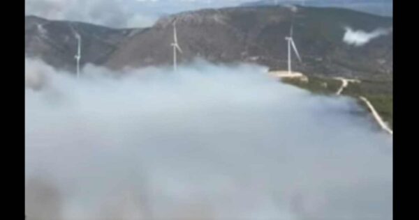 Πύρινος εφιάλτης στον Άγιο Βασίλειο Βοιωτίας – Δραματικές επιχειρήσεις διάσωσης  από θαλάσσης – «Θα καούμε ζωντανοί», οι εκκλήσεις βοήθειας των κατοίκων