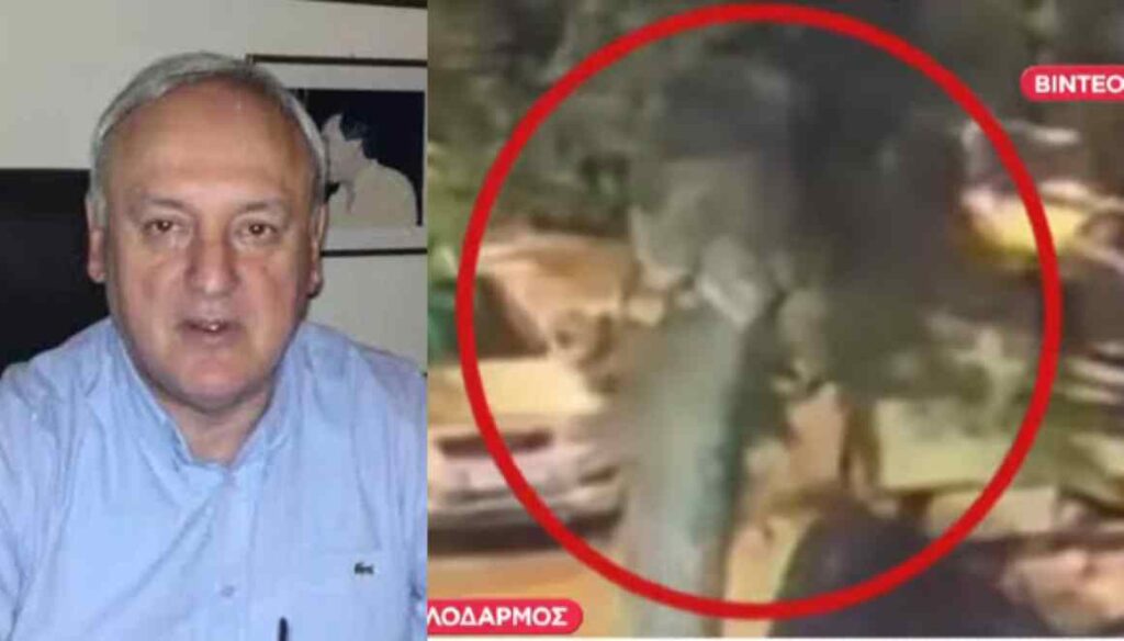Συνελήφθη 28χρονος Αιγύπτιος για τη δολοφονία του Σταύρου Γεωργίου – Τον «πρόδωσαν» βιντεοληπτικό υλικό και αποτυπώματα