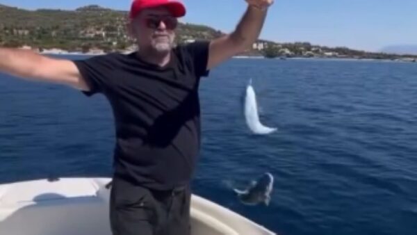 Μιχάλης Ιατρόπουλος: Έξαλλος με τους λαγοκέφαλους που ψάρεψε – «Τελικά από τους μαλ@@@ες δεν γλυτώνεις πουθενά…» (βίντεο)