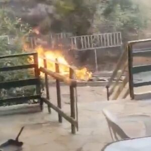 Βίντεο της ΕΛΑΣ με τον απεγκλωβισμό ηλικιωμένης στον Κουβαρά ενώ οι φλόγες είχαν φτάσει στην αυλή της