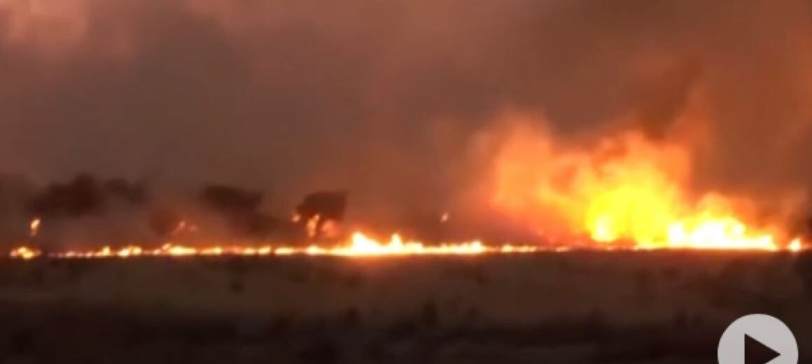 Μάχη με τις φλόγες σε Πόρτο Γερμενό, Βίλια, Ψάθα, Μέγαρα και Κεφαλονιά, μπαράζ 112 για εκκενώσεις οικισμών, καίγονται σπίτια (βίντεο)