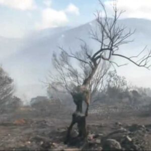 Βελτιωμένη η εικόνα στη φωτιά στη Δυτική Αττική: Μάχη με τις αναζωπυρώσεις –  Κάηκαν πάνω από 130.000 στρέμματα γης (βίντεο)