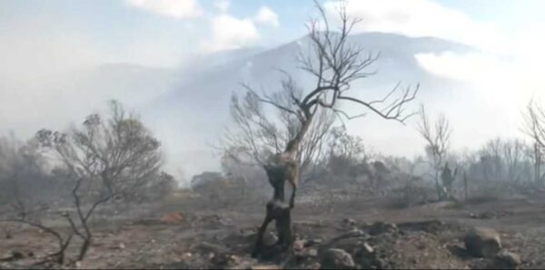 Βελτιωμένη η εικόνα στη φωτιά στη Δυτική Αττική: Μάχη με τις αναζωπυρώσεις –  Κάηκαν πάνω από 130.000 στρέμματα γης (βίντεο)