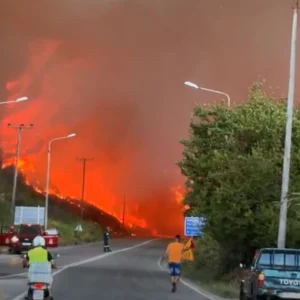 Μεγάλη φωτιά στη Χαλκιδική: Δίπλα σε σπίτια οι φλόγες, εκκενώνονται Σίβηρη και Φούρκα