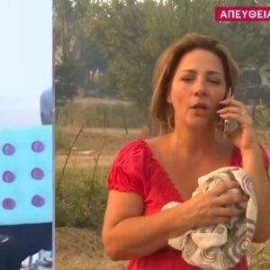 Φωτιά στη Χαλκιδική: Συνελήφθησαν δύο άτομα για την επίθεση  σε βάρος δημοσιογράφου του MEGA εν ώρα ρεπορτάζ