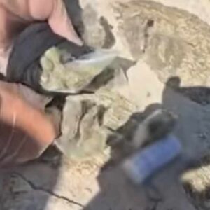 Μύκονος: Βίντεο από τη στιγμή που οι αστυνομικοί βρίσκουν ναρκωτικά σε σπίτι, τα έκρυβαν μέχρι σε ρόδα στο μηχανάκι μέσα σε κάλτσα