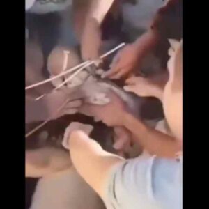 Κολομβία – Θαύμα στα χαλάσματα: Ζωντανό ανασύρθηκε μωρό 6 μηνών και η μητέρα – Πάνω από 220 οι νεκροί , εκατοντάδες τραυματίες , χιλιάδες αγνοούμενοι (βίντεο)
