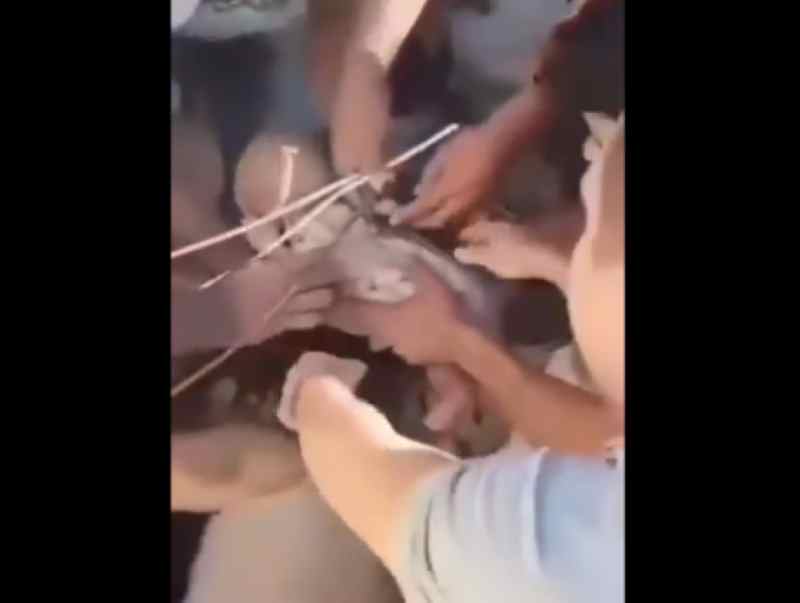 Κολομβία – Θαύμα στα χαλάσματα: Ζωντανό ανασύρθηκε μωρό 6 μηνών και η μητέρα – Πάνω από 220 οι νεκροί , εκατοντάδες τραυματίες , χιλιάδες αγνοούμενοι (βίντεο)