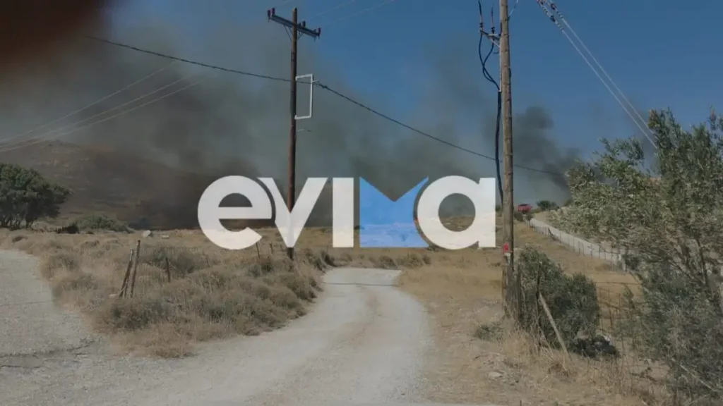 Φωτιά στην Κάρυστο: Μήνυμα 112 για εκκένωση στην περιοχή Θεατρούπολη