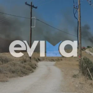 Φωτιά στην Κάρυστο: Μήνυμα 112 για εκκένωση στην περιοχή Θεατρούπολη