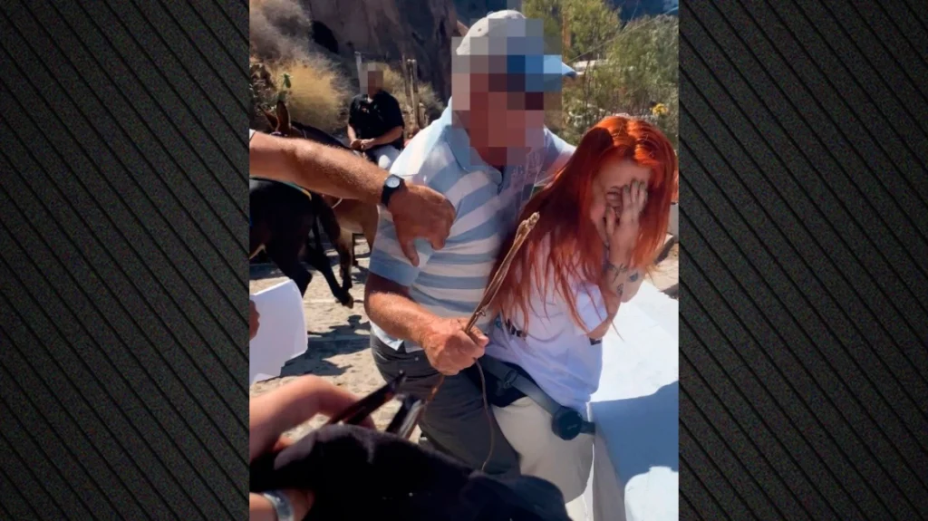 Αγωγιάτες επιτέθηκαν σε ακτιβίστριες στη Σαντορίνη που διαμαρτύρονταν για τη χρήση γαϊδουριών στη μεταφορά τουριστών – Βίντεο